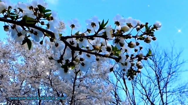 Без тебя смотреть онлайн