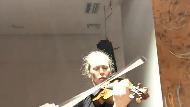 Excerpt from Chaconne by J.S.Bach The first 17th variations смотреть онлайн