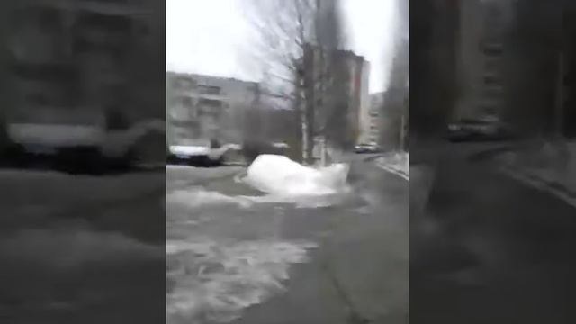 Где можно гулять с собакой смотреть онлайн