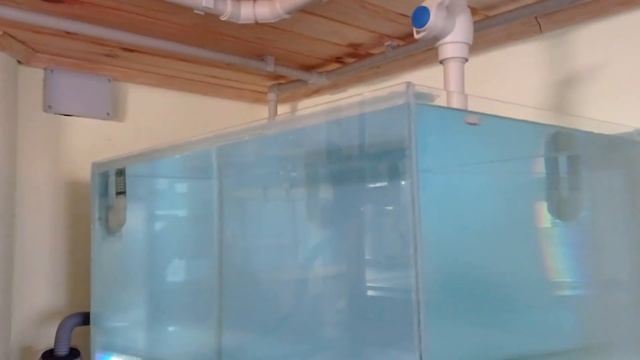 Запуск рыбок в аквариумы на разводне Обзор разводни смотреть онлайн