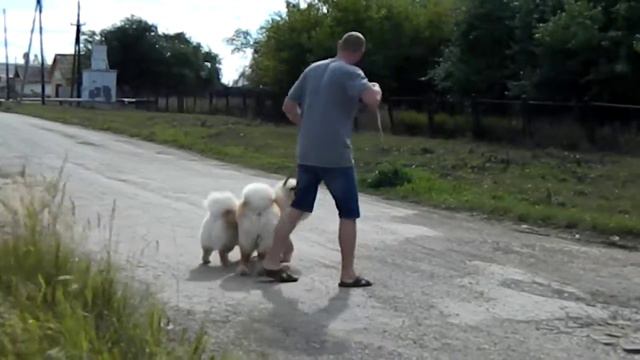 Юша и Тоша смотреть онлайн