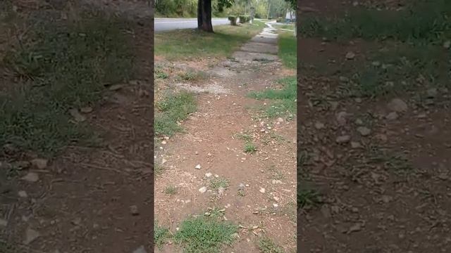 мои любимые места лучегорска смотреть онлайн