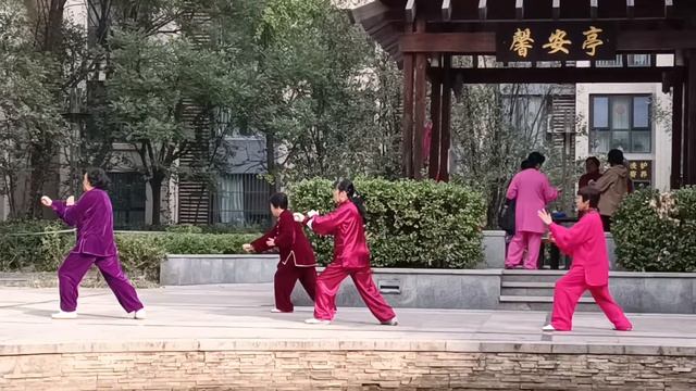 Тайцзицюань_28 форм _28式太极拳 (Tai Chi 28 form) смотреть онлайн