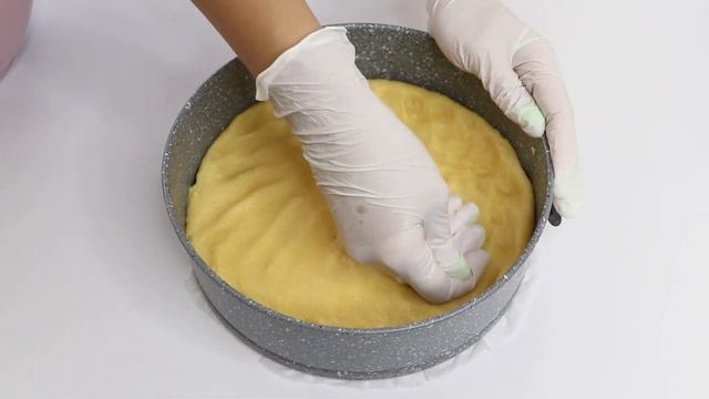 Животные в Зоопарках