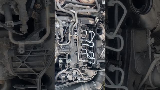 Разборка Volkswagen - Passat 6 2005-2010, 2.0 TDI (VIN: WVWZZZ3CZAE184653) SJ60UEO смотреть онлайн