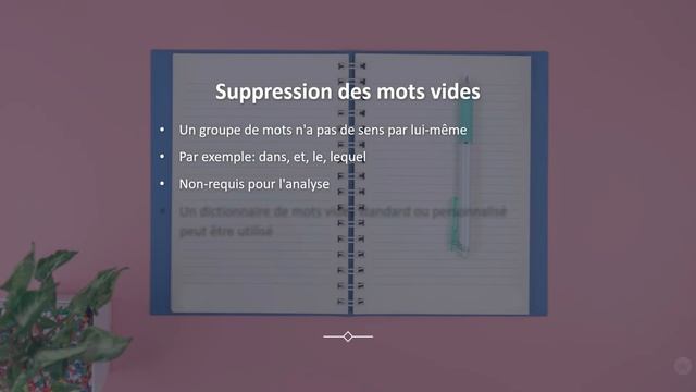 Texte processing en Python tutoriel français complet (NLTK et Spacy) смотреть онлайн