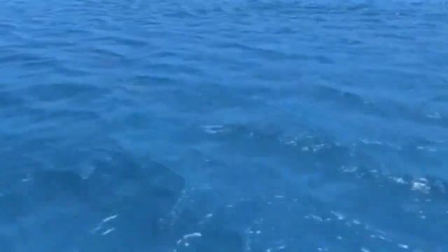 ДЛЯ МУЖЧИН И ЖЕНЩИН НАТУРАЛЬНЫЕ ВИТАМИНЫ. смотреть онлайн