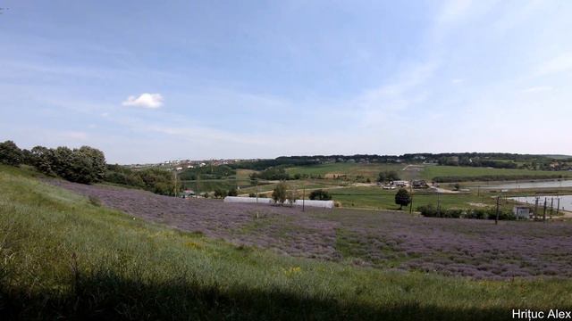 Ecoland Production - Lan de lavanda BIO смотреть онлайн