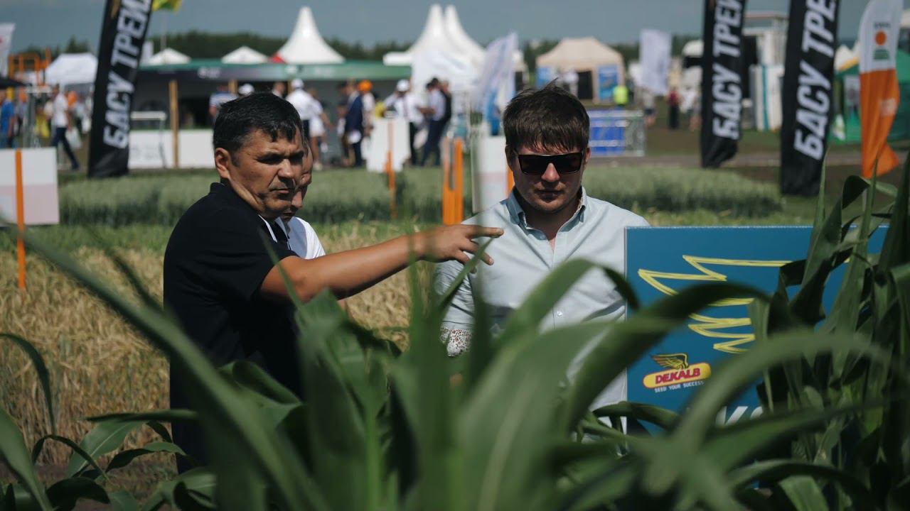 Bayer ver 6_12_21 смотреть онлайн