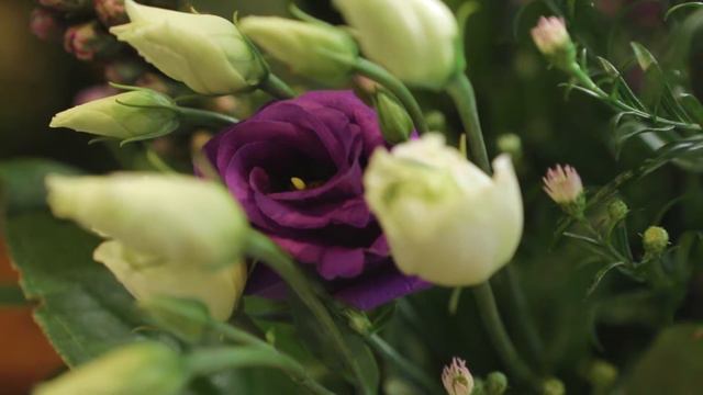 Eustoma bloemen jaarrond te koop. смотреть онлайн