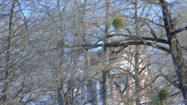 MAH02525.mp4 смотреть онлайн