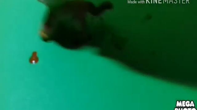 MV Танцы на стёклах смотреть онлайн