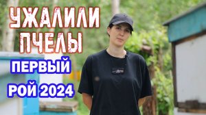 СИЛЬНО ПОКУСАЛИ ПЧЁЛЫ, ОСМОТР: ОТВОДКОВ И НОВЫХ МАТОК 2024