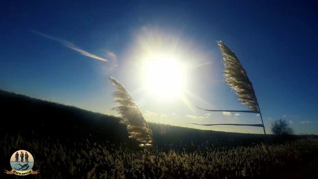 Охота на зайца в Крыму Бекас Авто ВПО 201 М смотреть онлайн