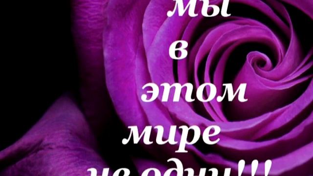 18 октября 2019 г. смотреть онлайн