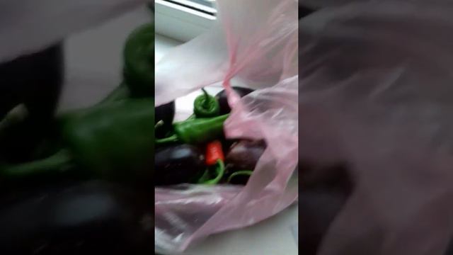 вместо лепешек оладушки баклажаны по новому смотреть онлайн