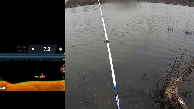 Testing the DEEPER PRO Fish Finder | Will it Help You Catch Fish? | Lake Michigan Shore Fishing смотреть онлайн