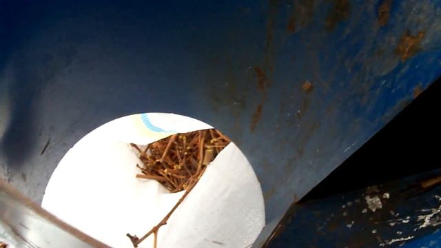 Утилизация лозы. 