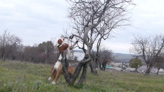 Мотя и Поля (осень 13г.) смотреть онлайн