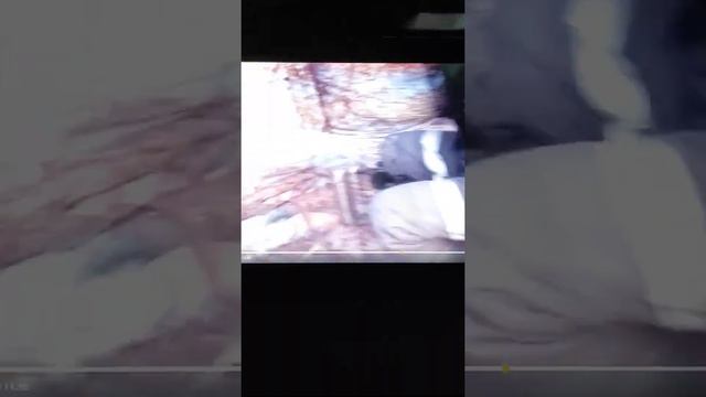 тест палатки при -25 смотреть онлайн