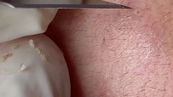 Relax Every Day With Sac Dep Spa #0104