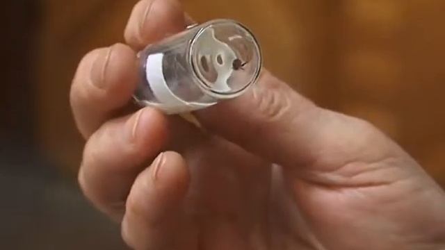 Около 20% клещей,которые сдали на анализ, были заражены вирусом энцефалита смотреть онлайн