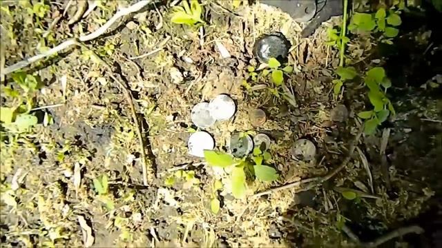 ШОК-Криминальная Находка с 80х смотреть онлайн