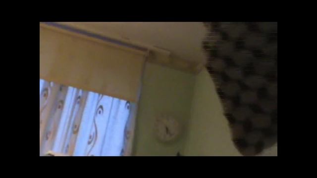 THE ROBBERY-REVENGE смотреть онлайн