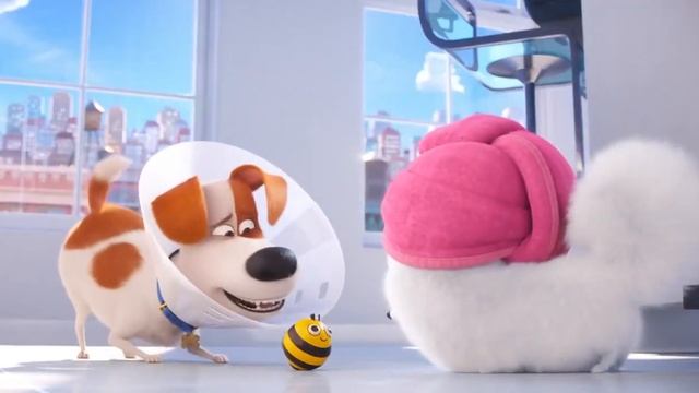 La Vida Secreta De Tus Mascotas 2 | Gidget | Yo Defenderé A Zumbejita Con Mi Vida | Español Latino смотреть онлайн