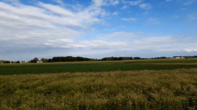 Польша. Выпускной бал и экзамены на аттестат зрелости. смотреть онлайн