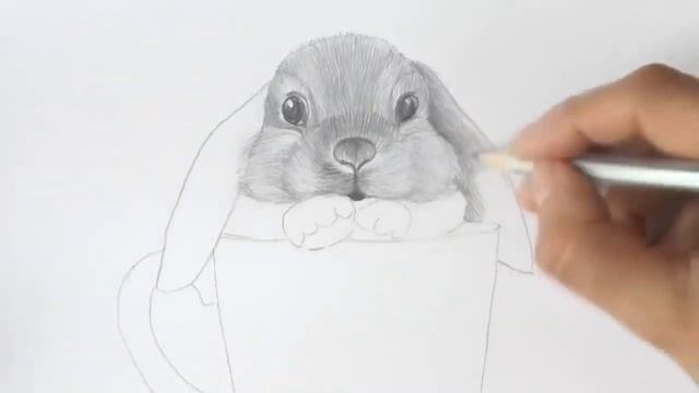 Как нарисовать кролика карандашами Уроки рисования How to draw a rabbit | Art School смотреть онлайн