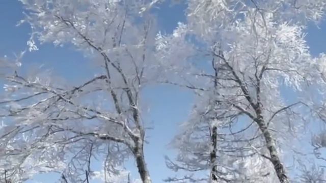 Ф Шопен Ноктюрн 20 Первый снег F Chopin Nocturne The first snow смотреть онлайн