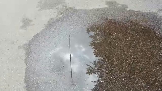 Отражение в луже.Ессентуки смотреть онлайн