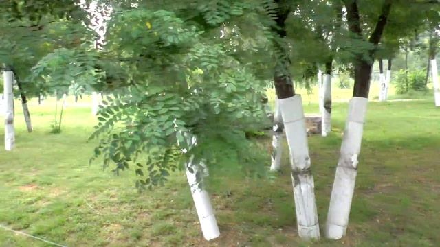 Бэйдайхэ 2018 (Китай,Сафари-парк в Циньхуандао)#9серия смотреть онлайн