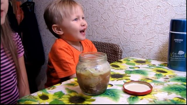 Зоопарк и Дикие Животные