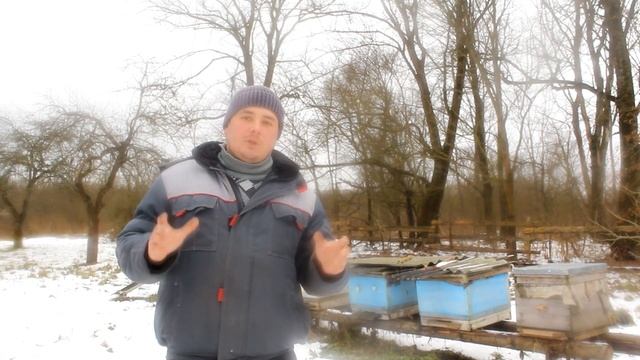 Стоит ли делать улья из ЭППС? смотреть онлайн