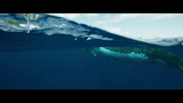 Киты Стражи планеты смотреть онлайн