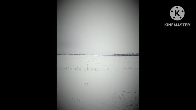 Русское поле экспериментов смотреть онлайн
