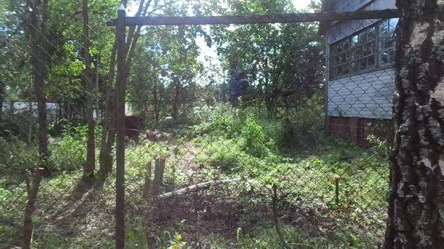 586 - ДАЧА/Утро/ Готовим Суп смотреть онлайн