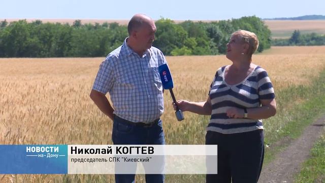 На юге области уже идет уборка озимой пшеницы смотреть онлайн