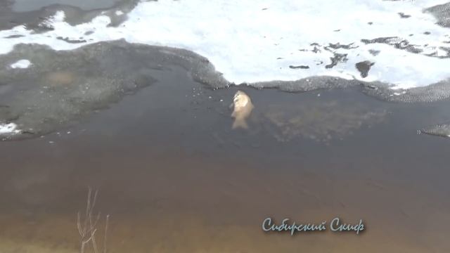 ЗАМОР РЫБЫ В СИБИРИ смотреть онлайн