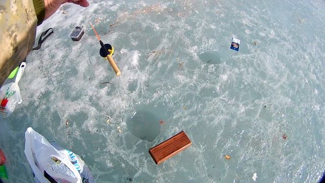 Последний лёд в качирском питомнике или бешенный клёв карася смотреть онлайн