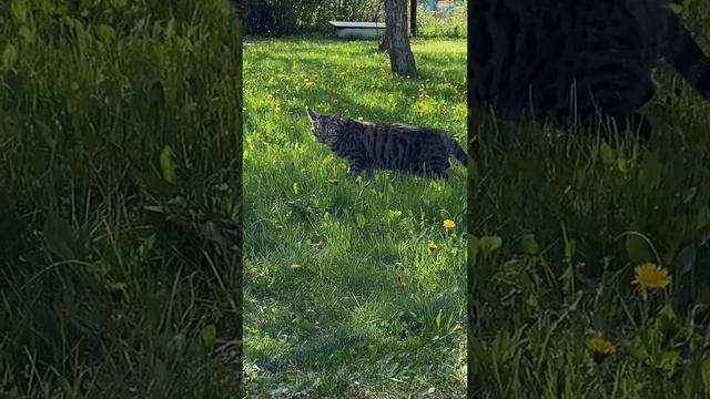 из города в деревню смотреть онлайн