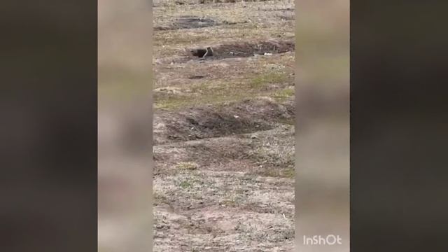 Маленькое путешествие на голубое озеро в кармаскалинском районе смотреть онлайн