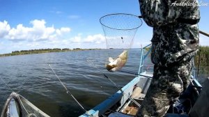 ДИКИЕ СИБИРСКИЕ САЗАНЫ... ВОТ ЭТО РЫБАЛКА... Видео с оз. Чаны большую часть поклёвок не показал...