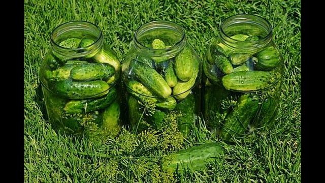 5 ЭФФЕКТИВНЫХ И ПРОСТЫХ МЕТОДОВ УВЕЛИЧИТЬ УРОЖАЙ ОГУРЦОВ смотреть онлайн