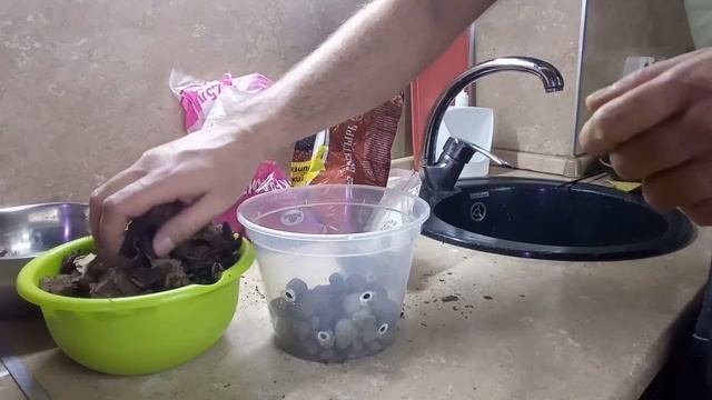 Как пересадить орхидею? Пересадка орхидеи с гнилыми корнями. смотреть онлайн