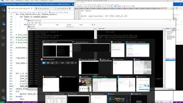 Dolt (git and SQL's love child) Intro with python access to the database смотреть онлайн