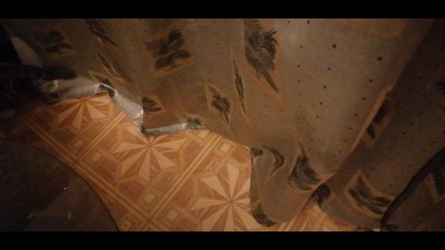 Друг мой Тишка ? смотреть онлайн