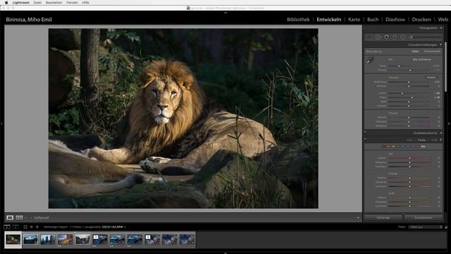 Fotos bearbeiten mit NIK Filter Collection смотреть онлайн
